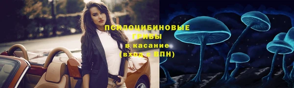 ПСИЛОЦИБИНОВЫЕ ГРИБЫ Арсеньев