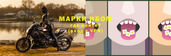 стаф Баксан