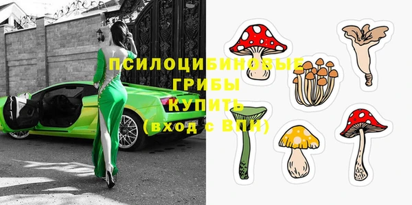 ПСИЛОЦИБИНОВЫЕ ГРИБЫ Арсеньев